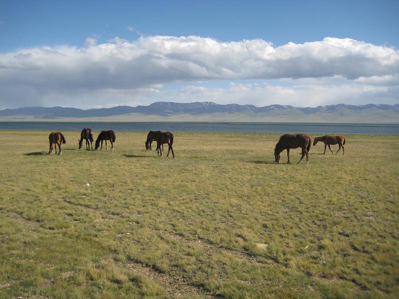 20110715_Koschkor-Song-Kul 097.JPG